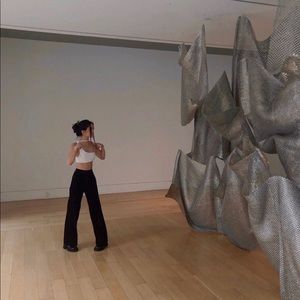 Are You Am I Ming Top